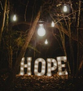 The word hope in a forest.
