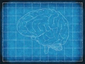 The Best Supplement for Brain Support - Mind Lab Pro - Brain Blueprint