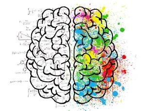 The Best Supplement for Brain Support - Mind Lab Pro - Logical vs Creative Brain Illustration