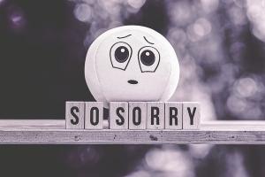 The Best Supplement for Brain Function and Memory - Mind Lab Pro - Sad Plush Toy Saying Sorry
