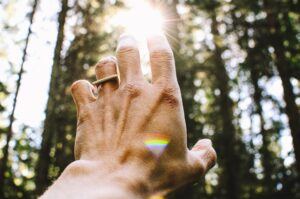 Does ginkgo biloba help memory - Hand reaching towards the sun