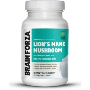 What-is-Lion's-Mane-Mushroom-good-for-Brain-Forza