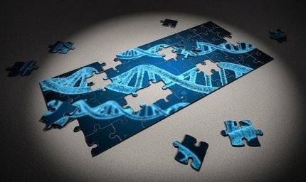 Noopept for Depression - DNA Damage