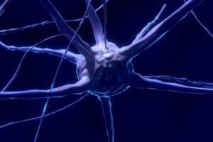 The Best B Vitamins for Energy - Brain Cell