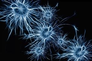 Supplements for ADHD Adults - UMP - Brain Cells Connected by Neurites