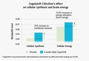 Performance Lab Mind Review - Cognizin Benefits Illustration