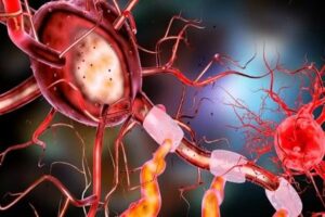 Best Supplement for Energy and Concentration - Healthy Brain Cell