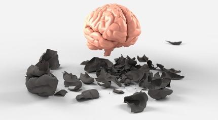 Best Supplement for Energy and Concentration - Rejuvenated Brain