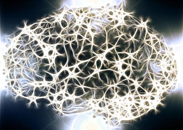 How does CoQ10 Benefit the Brain - Brain with Energized Neurons