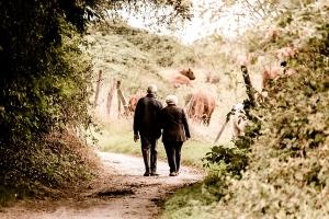 How does CoQ10 Benefit the Brain - Senior Couple Walking in Park