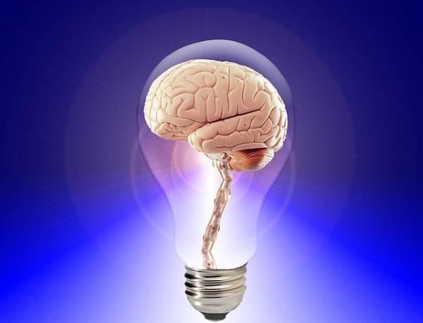 Is Alpha Lipoic Acid a Nootropic - Brain Inside a Lit Lightbulb