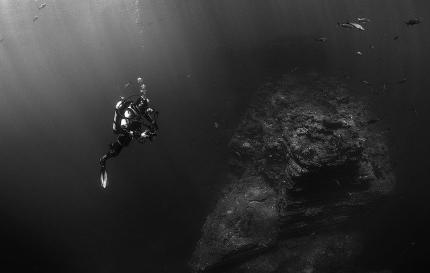 Is Alpha Lipoic Acid a Nootropic - SCUBA Diver Deep in Ocean