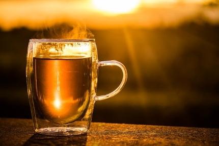 Is Sage a Nootropic - Cup of Sage Tea at Sunset
